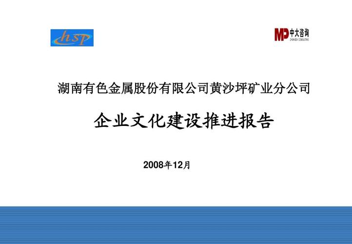 黄沙坪企业文化报告(20081230)ppt_word文档在线阅读与下载
